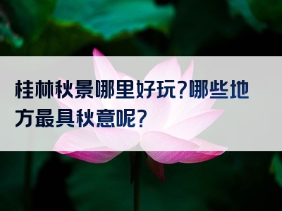 桂林秋景哪里好玩？哪些地方最具秋意呢？