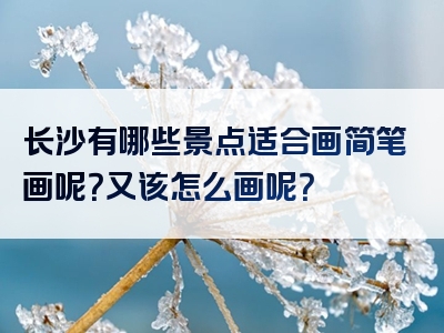 长沙有哪些景点适合画简笔画呢？又该怎么画呢？
