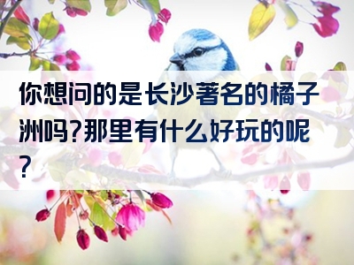 你想问的是长沙著名的橘子洲吗？那里有什么好玩的呢？