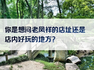 你是想问老凤祥的店址还是店内好玩的地方？