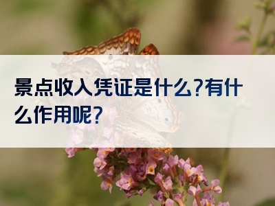 景点收入凭证是什么？有什么作用呢？