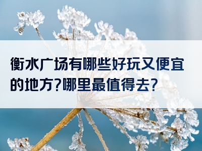 衡水广场有哪些好玩又便宜的地方？哪里最值得去？
