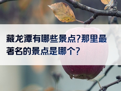 藏龙潭有哪些景点？那里最著名的景点是哪个？