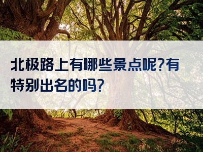 北极路上有哪些景点呢？有特别出名的吗？