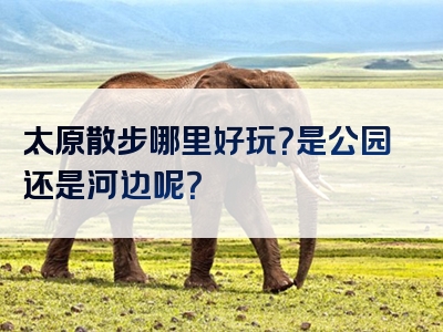 太原散步哪里好玩？是公园还是河边呢？