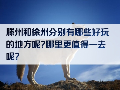 滕州和徐州分别有哪些好玩的地方呢？哪里更值得一去呢？