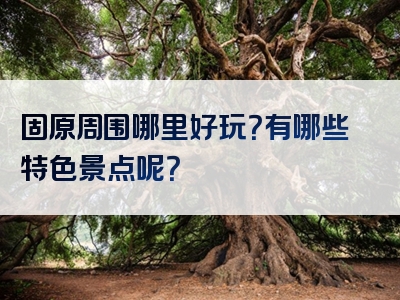 固原周围哪里好玩？有哪些特色景点呢？