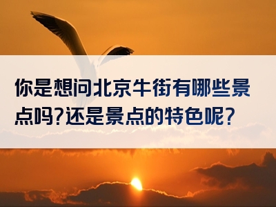你是想问北京牛街有哪些景点吗？还是景点的特色呢？