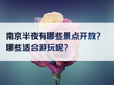 南京半夜有哪些景点开放？哪些适合游玩呢？