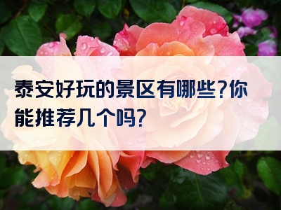 泰安好玩的景区有哪些？你能推荐几个吗？