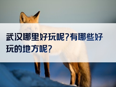 武汉哪里好玩呢？有哪些好玩的地方呢？