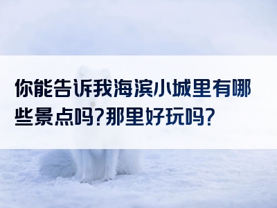 你能告诉我海滨小城里有哪些景点吗？那里好玩吗？