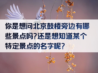 你是想问北京鼓楼旁边有哪些景点吗？还是想知道某个特定景点的名字呢？