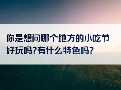 你是想问哪个地方的小吃节好玩吗？有什么特色吗？
