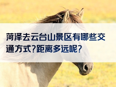 菏泽去云台山景区有哪些交通方式？距离多远呢？