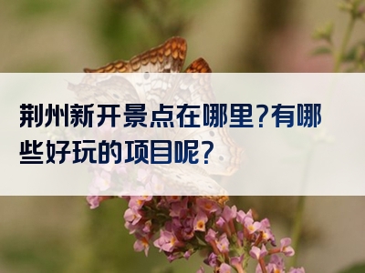 荆州新开景点在哪里？有哪些好玩的项目呢？