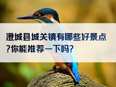澄城县城关镇有哪些好景点？你能推荐一下吗？