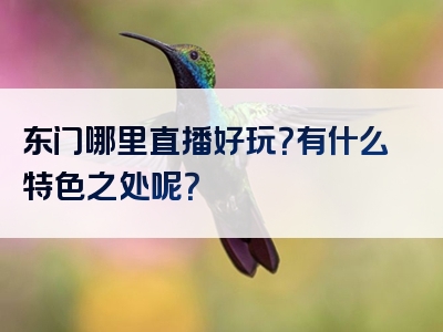 东门哪里直播好玩？有什么特色之处呢？
