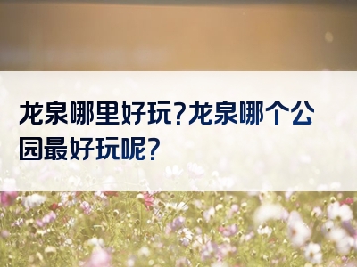 龙泉哪里好玩？龙泉哪个公园最好玩呢？