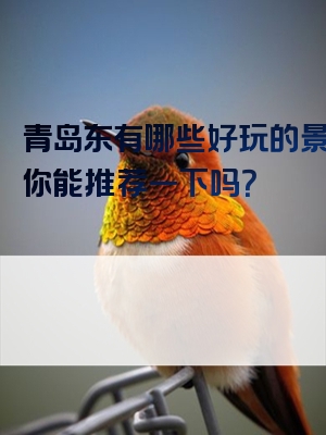 青岛东有哪些好玩的景点？你能推荐一下吗？