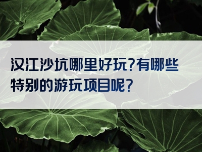 汉江沙坑哪里好玩？有哪些特别的游玩项目呢？