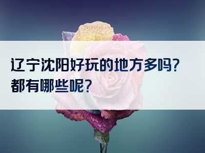 辽宁沈阳好玩的地方多吗？都有哪些呢？