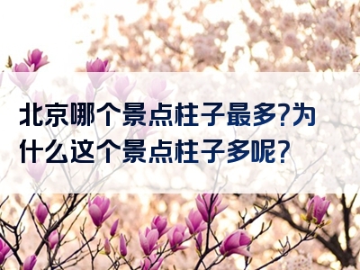 北京哪个景点柱子最多？为什么这个景点柱子多呢？