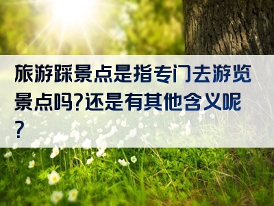 旅游踩景点是指专门去游览景点吗？还是有其他含义呢？