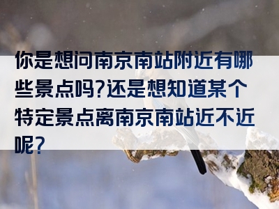 你是想问南京南站附近有哪些景点吗？还是想知道某个特定景点离南京南站近不近呢？