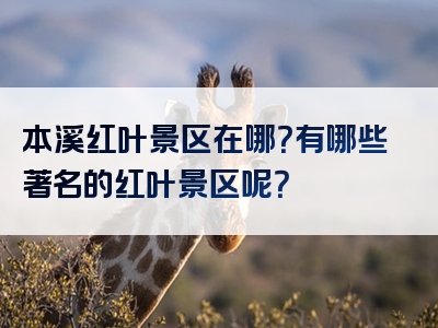 本溪红叶景区在哪？有哪些著名的红叶景区呢？