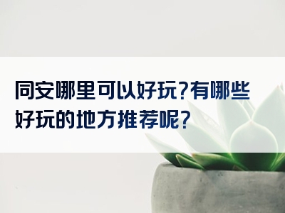 同安哪里可以好玩？有哪些好玩的地方推荐呢？