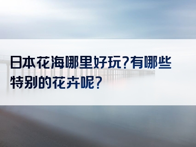 日本花海哪里好玩？有哪些特别的花卉呢？