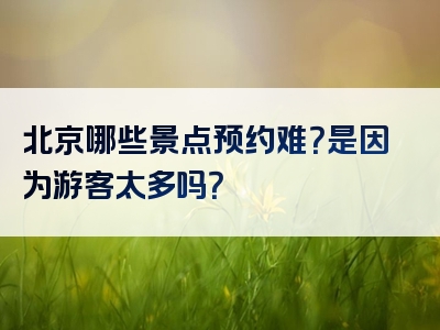 北京哪些景点预约难？是因为游客太多吗？