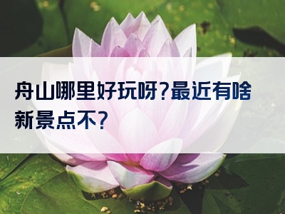 舟山哪里好玩呀？最近有啥新景点不？