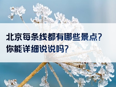 北京每条线都有哪些景点？你能详细说说吗？