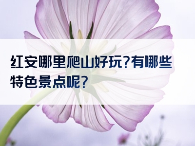 红安哪里爬山好玩？有哪些特色景点呢？