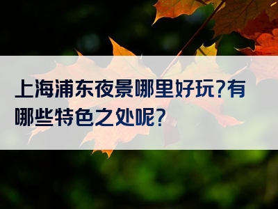上海浦东夜景哪里好玩？有哪些特色之处呢？