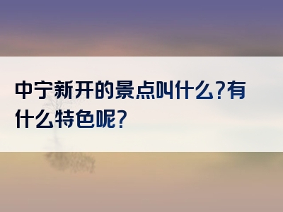 中宁新开的景点叫什么？有什么特色呢？