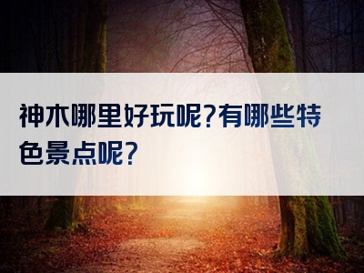 神木哪里好玩呢？有哪些特色景点呢？