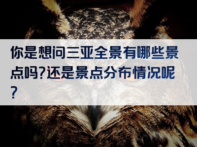 你是想问三亚全景有哪些景点吗？还是景点分布情况呢？