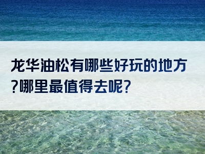 龙华油松有哪些好玩的地方？哪里最值得去呢？