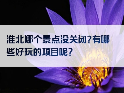 淮北哪个景点没关闭？有哪些好玩的项目呢？