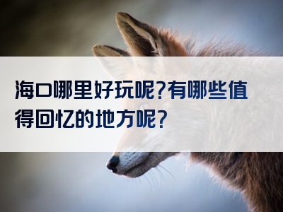 海口哪里好玩呢？有哪些值得回忆的地方呢？