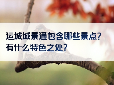 运城城景通包含哪些景点？有什么特色之处？
