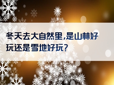 冬天去大自然里，是山林好玩还是雪地好玩？