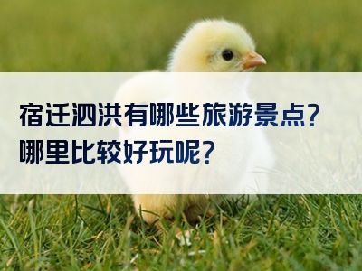 宿迁泗洪有哪些旅游景点？哪里比较好玩呢？