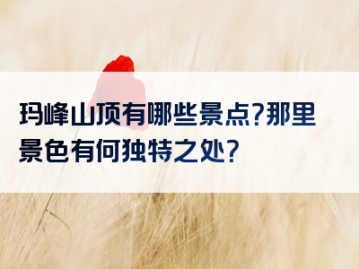 玛峰山顶有哪些景点？那里景色有何独特之处？