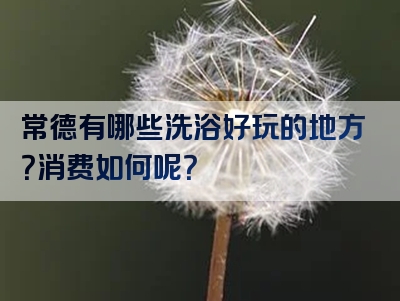 常德有哪些洗浴好玩的地方？消费如何呢？