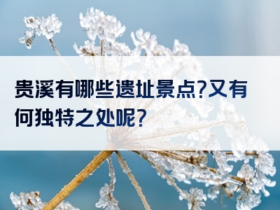 贵溪有哪些遗址景点？又有何独特之处呢？