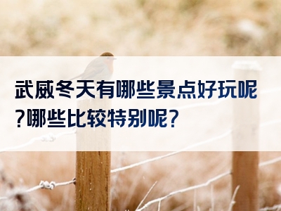 武威冬天有哪些景点好玩呢？哪些比较特别呢？